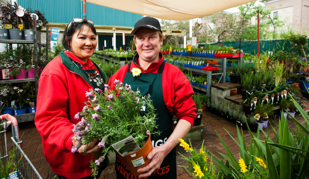 Simon standing alongside his manager in the gardening section while holding a plant