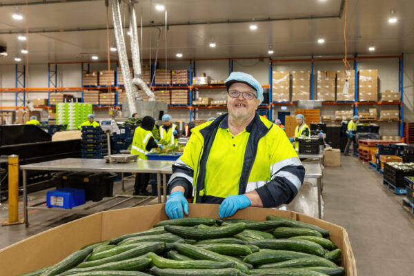 Gordon smiling while standing in front of a box of cucumbers while wearing a hair net and high-vis.